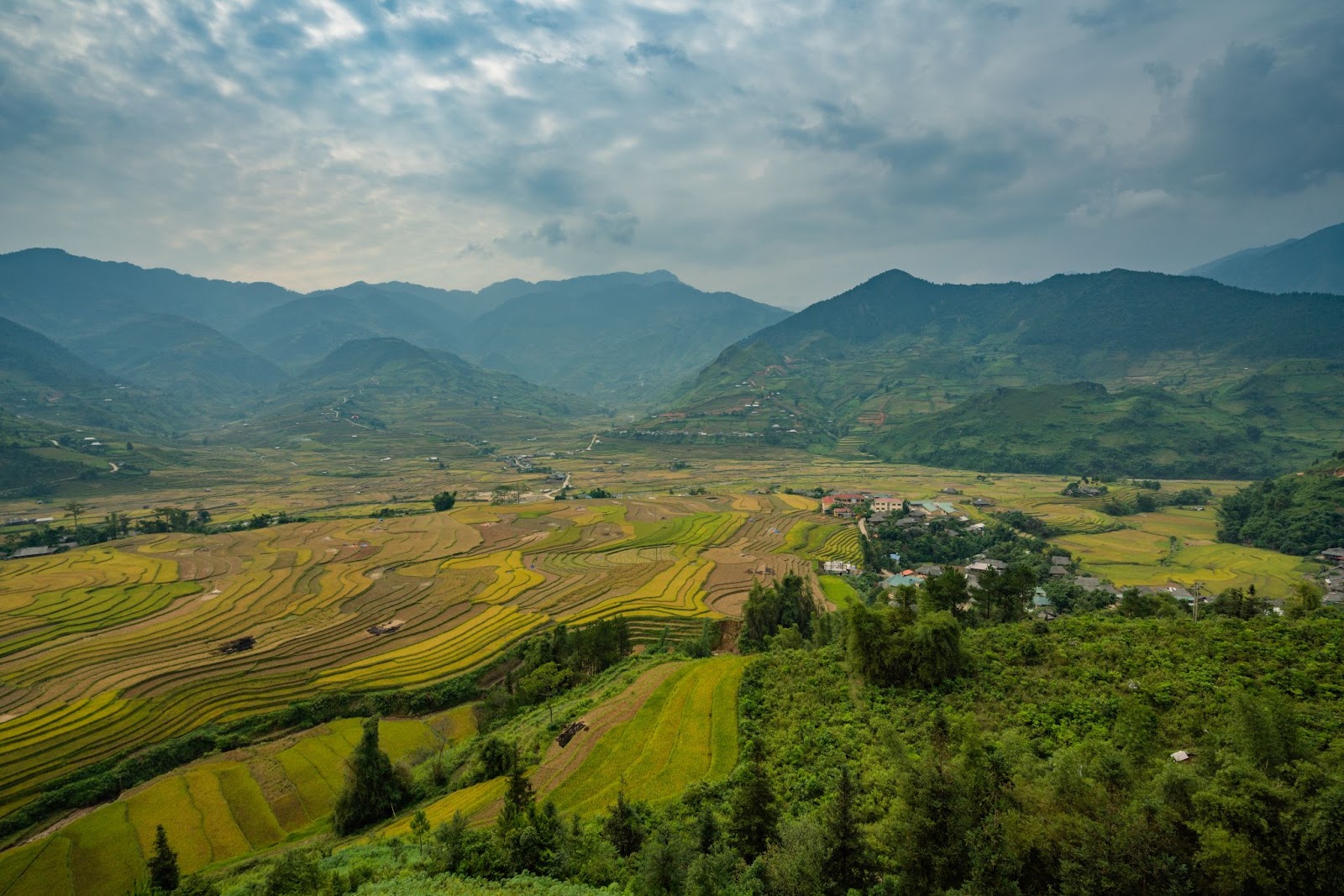 mountain view