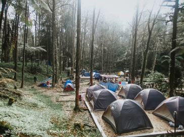 Several camping tents in the middle of a foggy forest and campers gathering in the middle of the campground