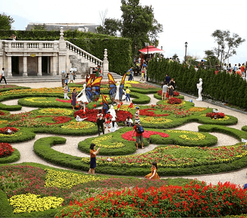 flower garden in ba na hills