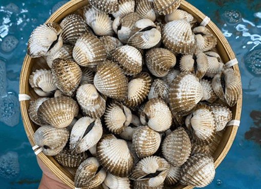 ha long bay clams