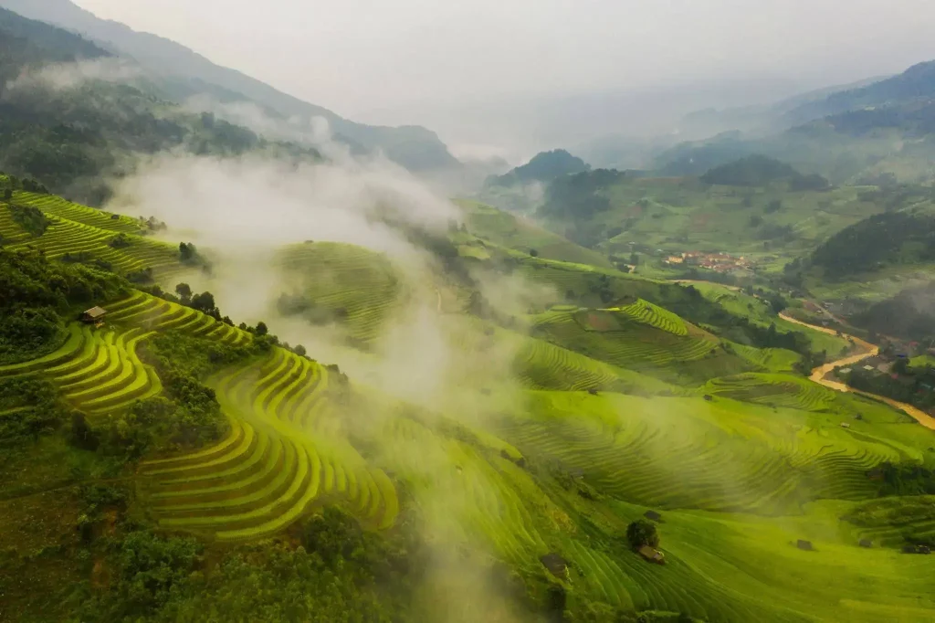 aerial view of vivid green rice terraces curving across misty hillsides in Sapa, Vietnam