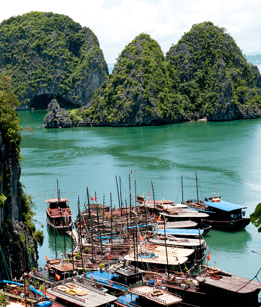 tourist boats at famous ha long resort in vietnam