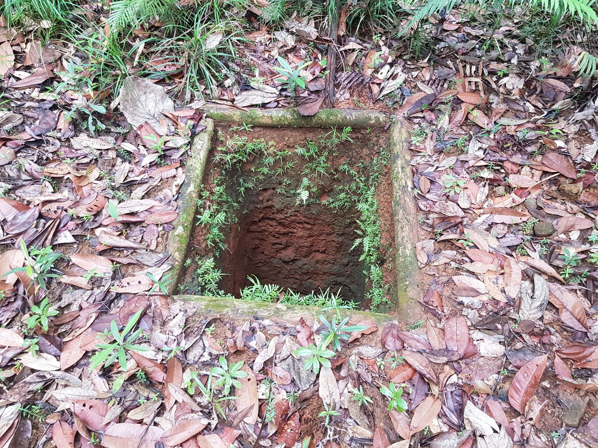 why a cu chi tunnels tour is worth it